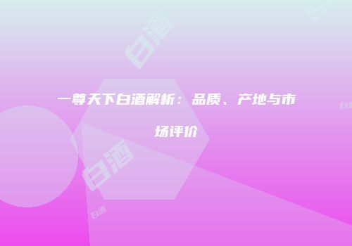 一尊天下白酒解析：品质、产地与市场评价
