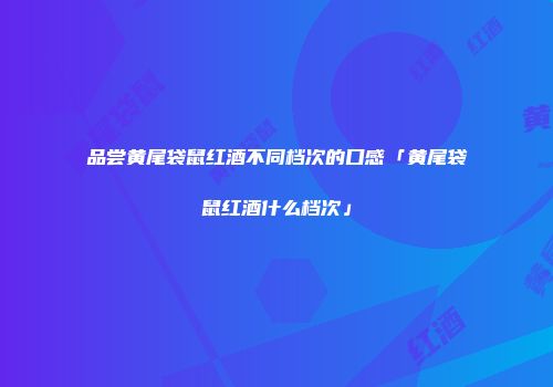 品尝黄尾袋鼠红酒不同档次的口感「黄尾袋鼠红酒什么档次」