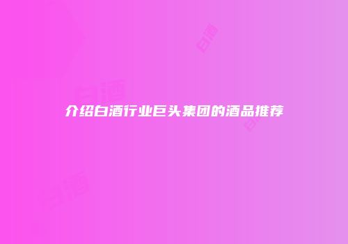 介绍白酒行业巨头集团的酒品推荐