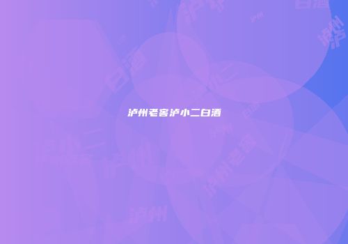 泸州老窖泸小二白酒