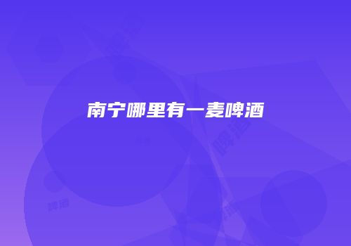 南宁哪里有一麦啤酒
