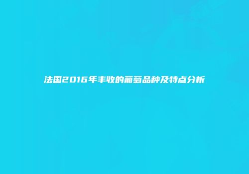 法国2016年丰收的葡萄品种及特点分析