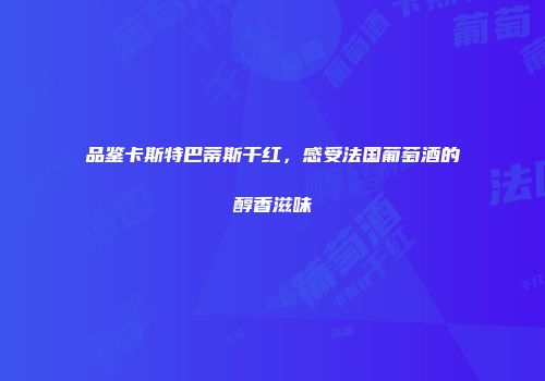 品鉴卡斯特巴蒂斯干红，感受法国葡萄酒的醇香滋味
