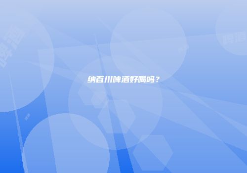 纳百川啤酒好喝吗？