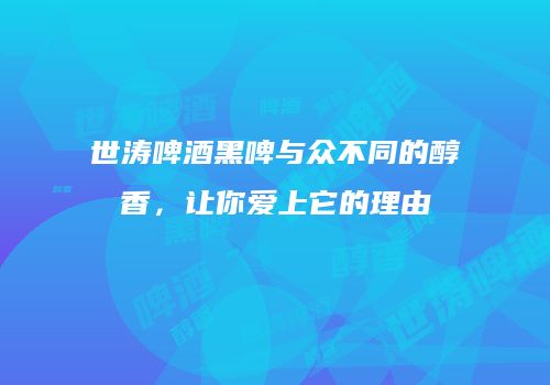 世涛啤酒黑啤与众不同的醇香，让你爱上它的理由