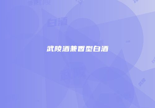 武陵酒兼香型白酒