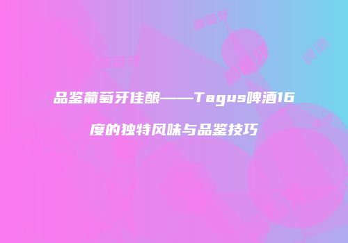 品鉴葡萄牙佳酿——Tagus啤酒16度的独特风味与品鉴技巧