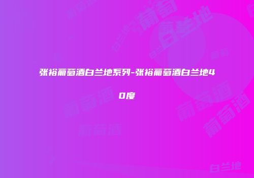 张裕葡萄酒白兰地系列-张裕葡萄酒白兰地40度
