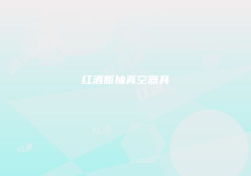 红酒瓶抽真空器具