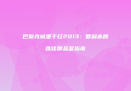 巴斯克城堡干红2013：智利赤霞珠佳酿品鉴指南