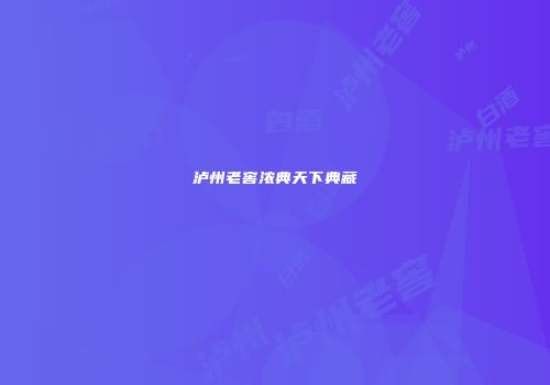 泸州老窖浓典天下典藏