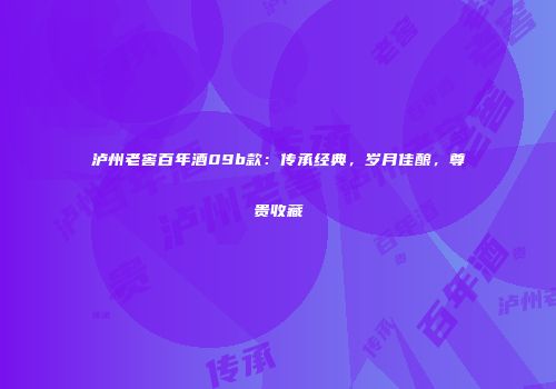 泸州老窖百年酒09b款：传承经典，岁月佳酿，尊贵收藏
