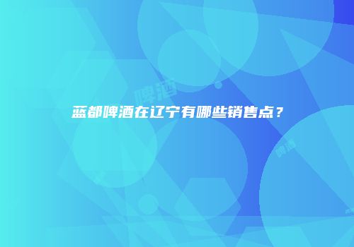 蓝都啤酒在辽宁有哪些销售点？