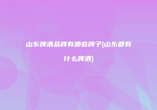 山东啤酒品牌有哪些牌子(山东都有什么啤酒)