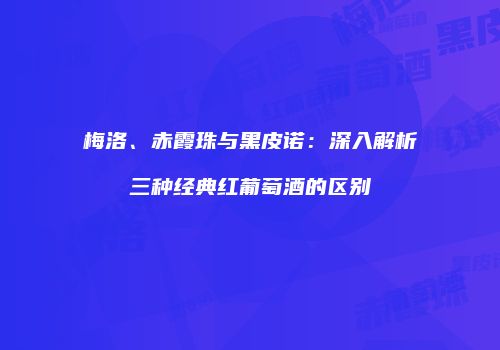 梅洛、赤霞珠与黑皮诺：深入解析三种经典红葡萄酒的区别