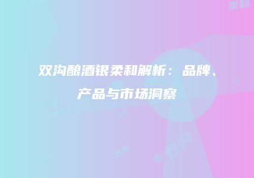双沟酿酒银柔和解析：品牌、产品与市场洞察