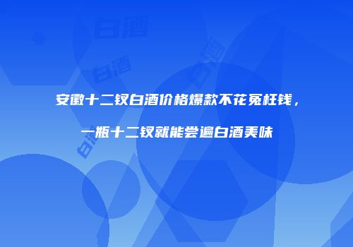 安徽十二钗白酒价格爆款不花冤枉钱，一瓶十二钗就能尝遍白酒美味