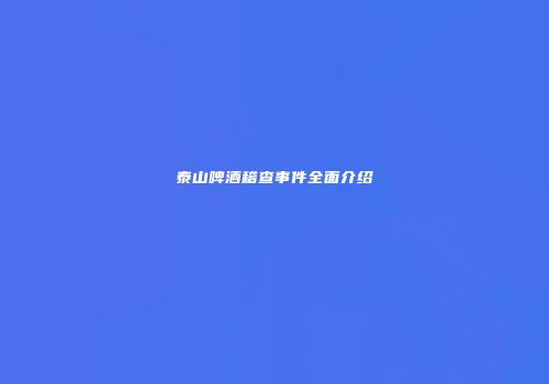 泰山啤酒稽查事件全面介绍