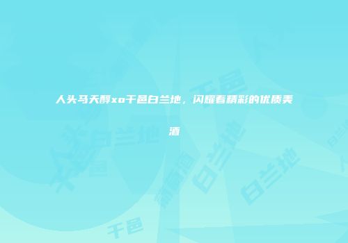 人头马天醇xo干邑白兰地，闪耀着精彩的优质美酒