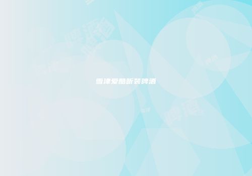 雪津爱酷听装啤酒