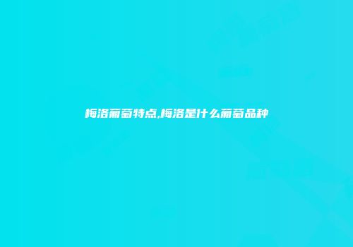 梅洛葡萄特点,梅洛是什么葡萄品种
