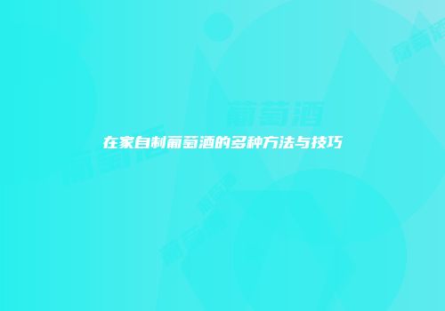 在家自制葡萄酒的多种方法与技巧