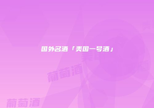 国外名酒「美国一号酒」