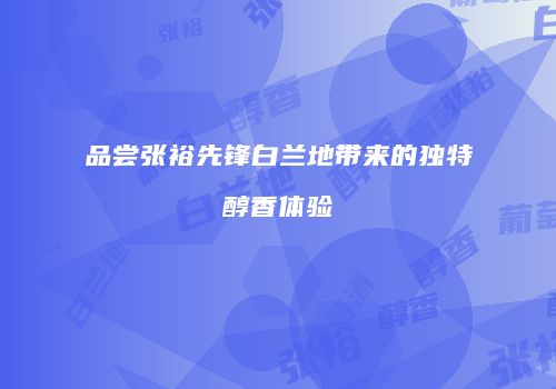 品尝张裕先锋白兰地带来的独特醇香体验