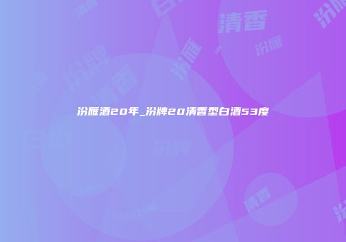 汾雁酒20年_汾牌20清香型白酒53度