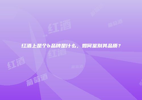 红酒上是个b品牌是什么，如何鉴别其品质？