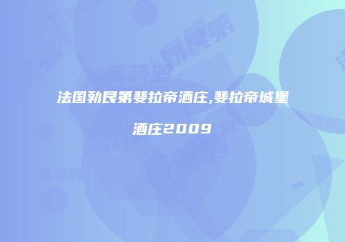 法国勃艮第斐拉帝酒庄,斐拉帝城堡酒庄2009
