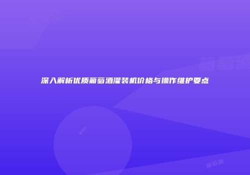 深入解析优质葡萄酒灌装机价格与操作维护要点