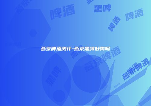 燕京啤酒测评-燕京黑啤好喝吗