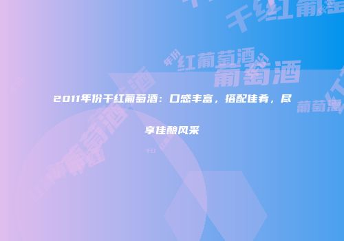 2011年份干红葡萄酒：口感丰富，搭配佳肴，尽享佳酿风采