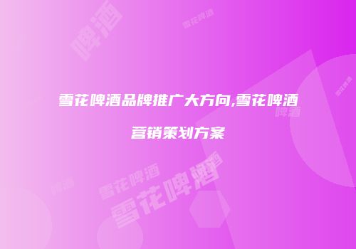 雪花啤酒品牌推广大方向,雪花啤酒营销策划方案