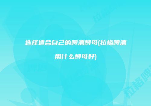 选择适合自己的啤酒酵母(拉格啤酒用什么酵母好)