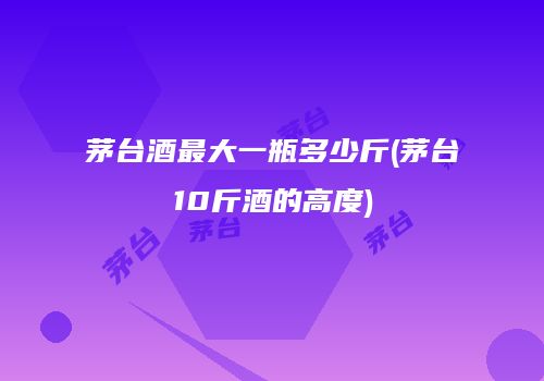 茅台酒最大一瓶多少斤(茅台10斤酒的高度)