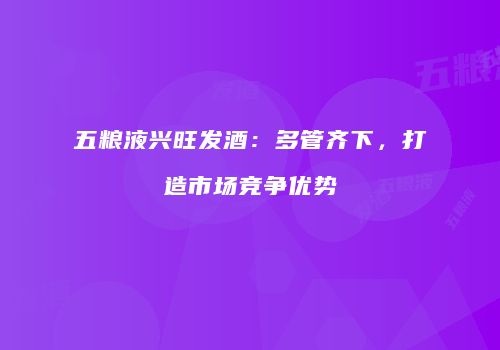 五粮液兴旺发酒：多管齐下，打造市场竞争优势
