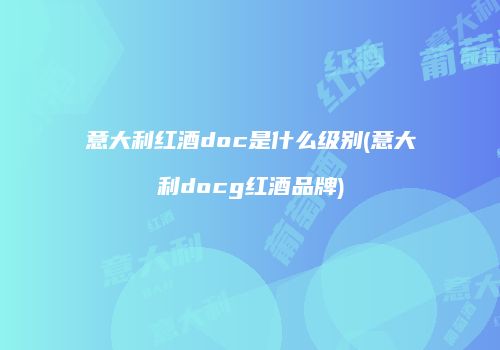 意大利红酒doc是什么级别(意大利docg红酒品牌)