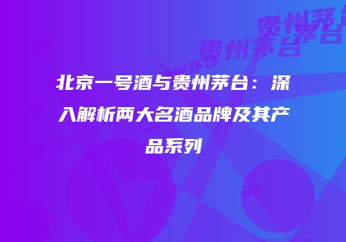 北京一号酒与贵州茅台：深入解析两大名酒品牌及其产品系列