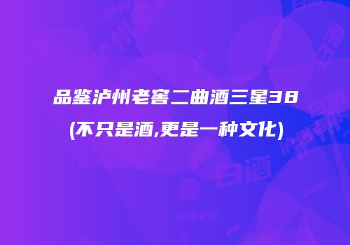 品鉴泸州老窖二曲酒三星38(不只是酒,更是一种文化)