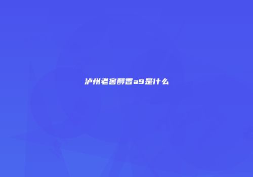 泸州老窖醇香a9是什么