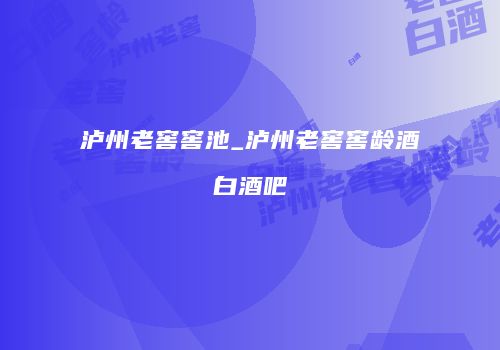 泸州老窖窖池_泸州老窖窖龄酒白酒吧
