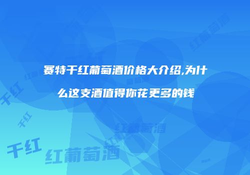 赛特干红葡萄酒价格大介绍,为什么这支酒值得你花更多的钱