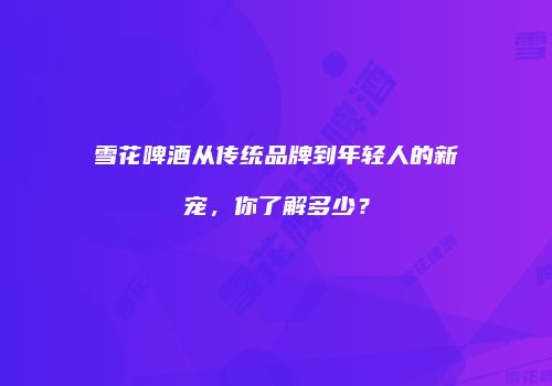 雪花啤酒从传统品牌到年轻人的新宠，你了解多少？