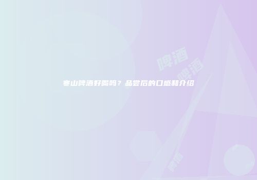 寒山啤酒好喝吗？品尝后的口感和介绍