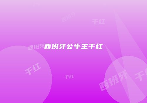 西班牙公牛王干红