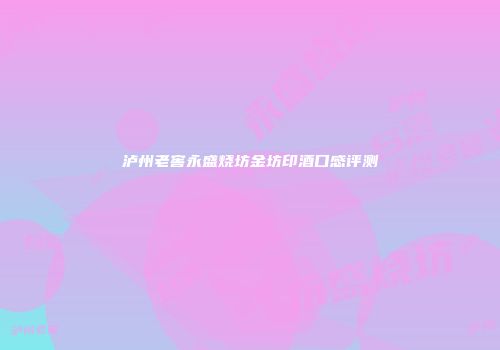 泸州老窖永盛烧坊金坊印酒口感评测