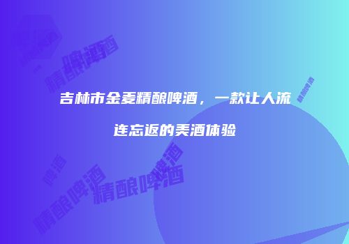 吉林市金麦精酿啤酒，一款让人流连忘返的美酒体验