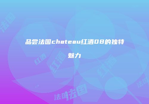 品尝法国chateau红酒08的独特魅力